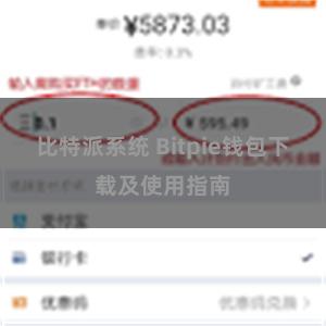 比特派系统 Bitpie钱包下载及使用指南