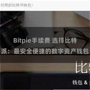 Bitpie手续费 选择比特派：最安全便捷的数字资产钱包