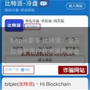 Bitpie新手 比特派：全方位保护用户数字资产安全