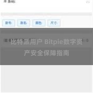 比特派用户 Bitpie数字资产安全保障指南