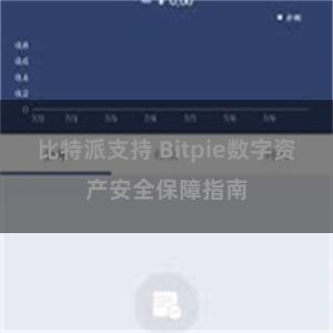 比特派支持 Bitpie数字资产安全保障指南