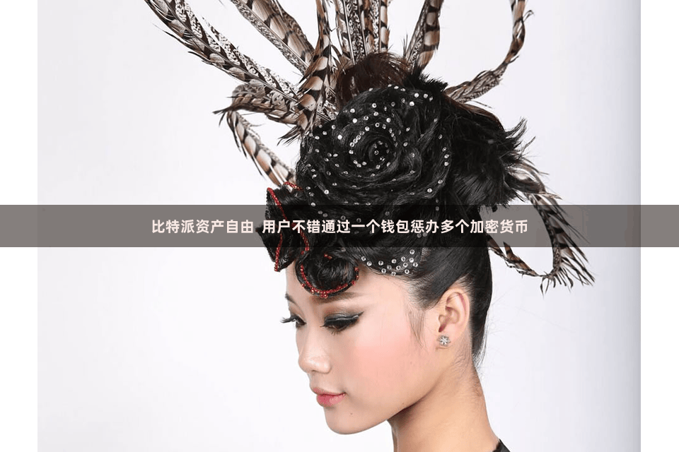 比特派资产自由  用户不错通过一个钱包惩办多个加密货币