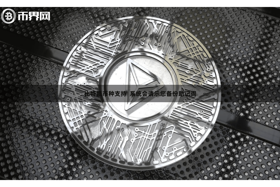 比特派币种支持  系统会请示您备份助记词
