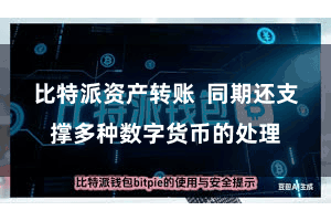 比特派资产转账  同期还支撑多种数字货币的处理
